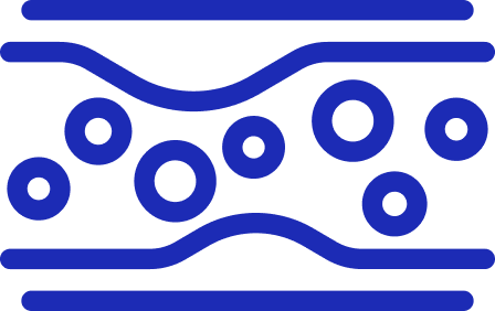 Improve vascular function